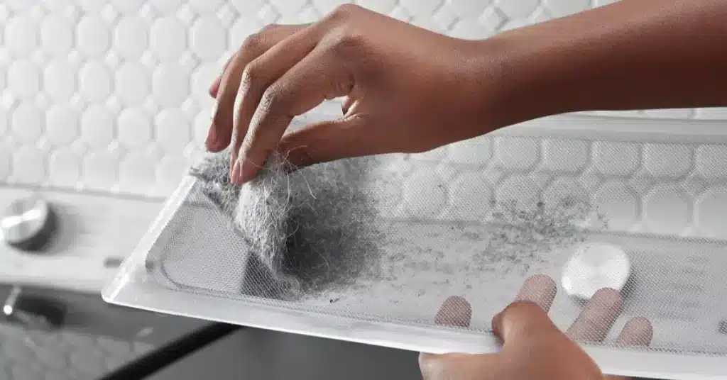 Dryer Lint Trap